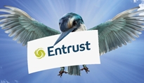 Entrust 2018 Dividend Steady at $350